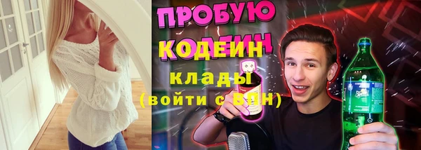 винт Инта