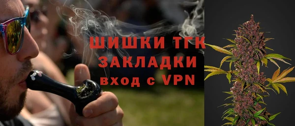 винт Инта