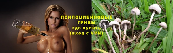 винт Инта