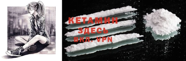 винт Инта
