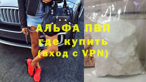 винт Инта