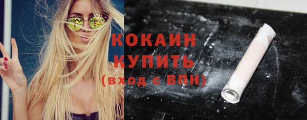винт Инта